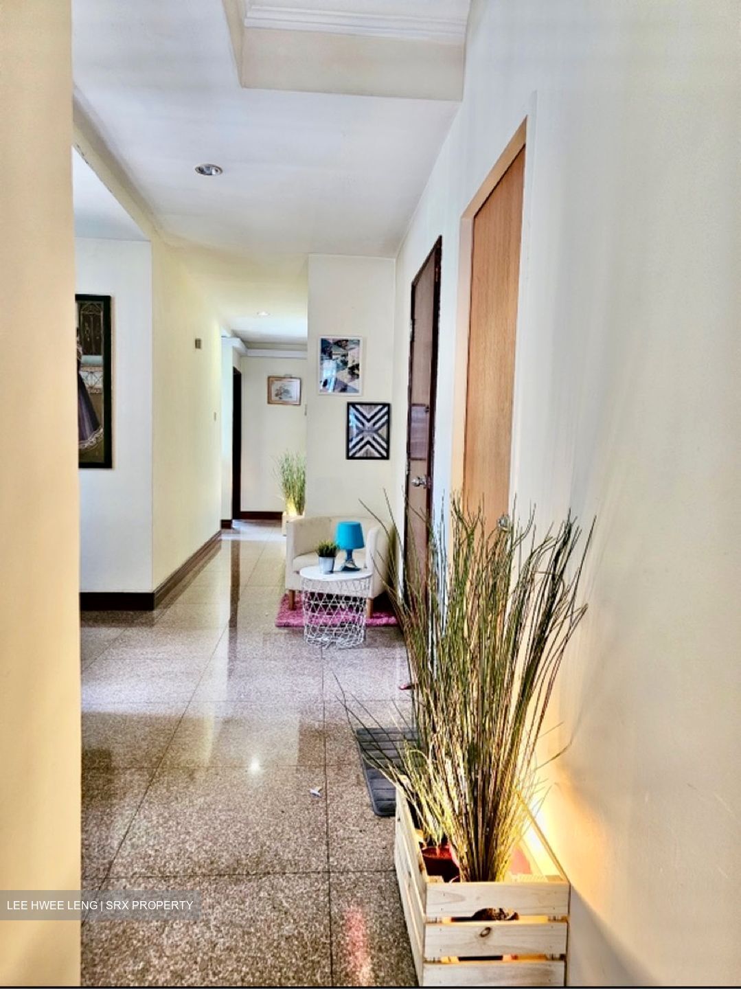 Moulmein Rise (D11), Apartment #610670981